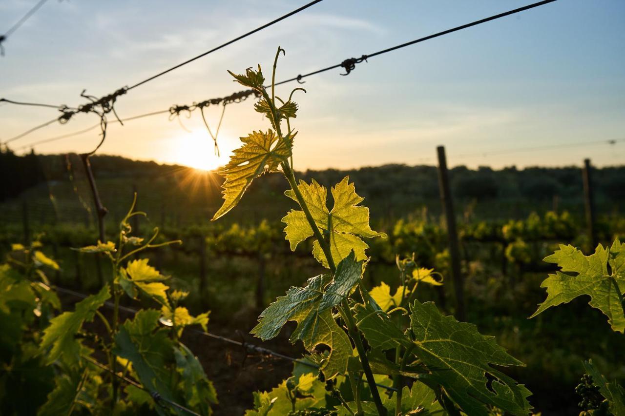 Agriturismo Tesorino Маса Маритима Екстериор снимка