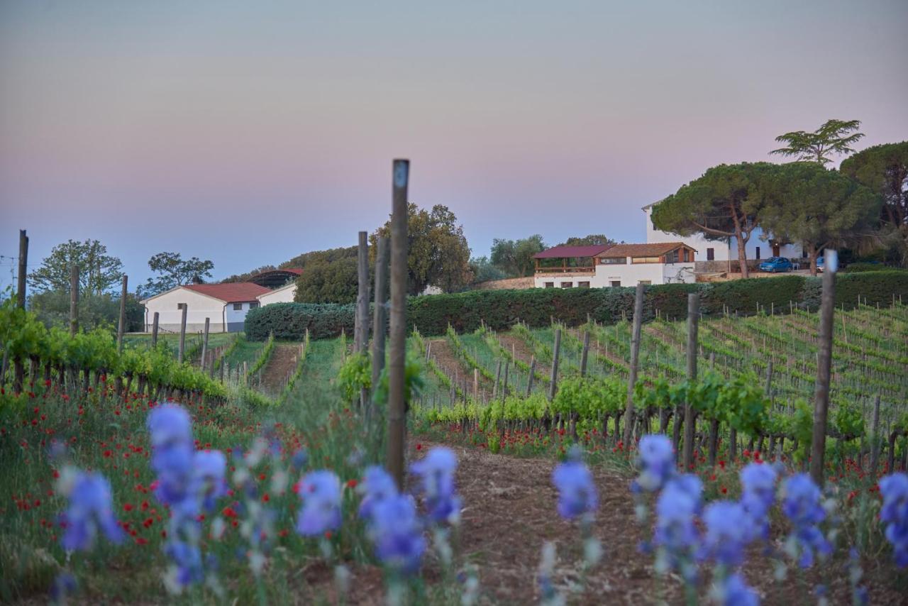 Agriturismo Tesorino Маса Маритима Екстериор снимка