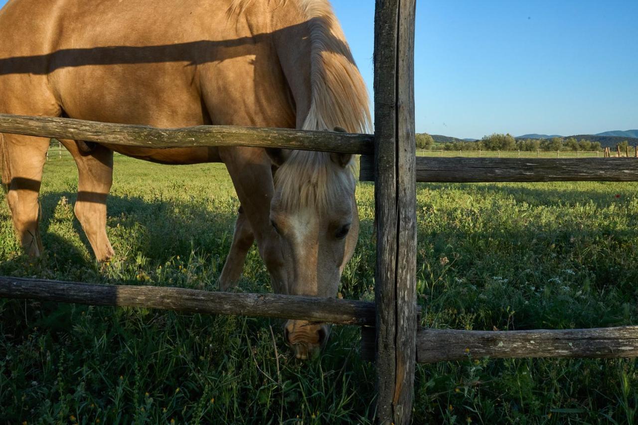 Agriturismo Tesorino Маса Маритима Екстериор снимка