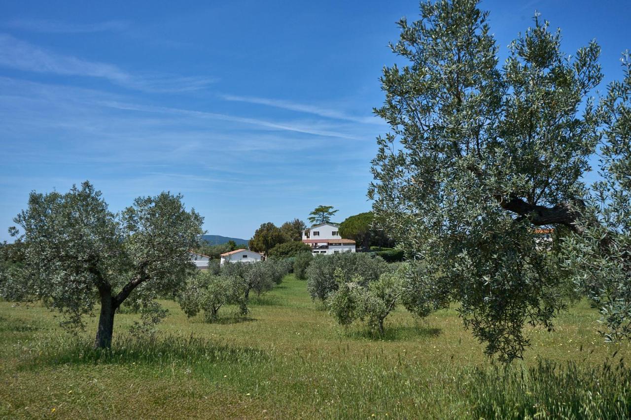 Agriturismo Tesorino Маса Маритима Екстериор снимка