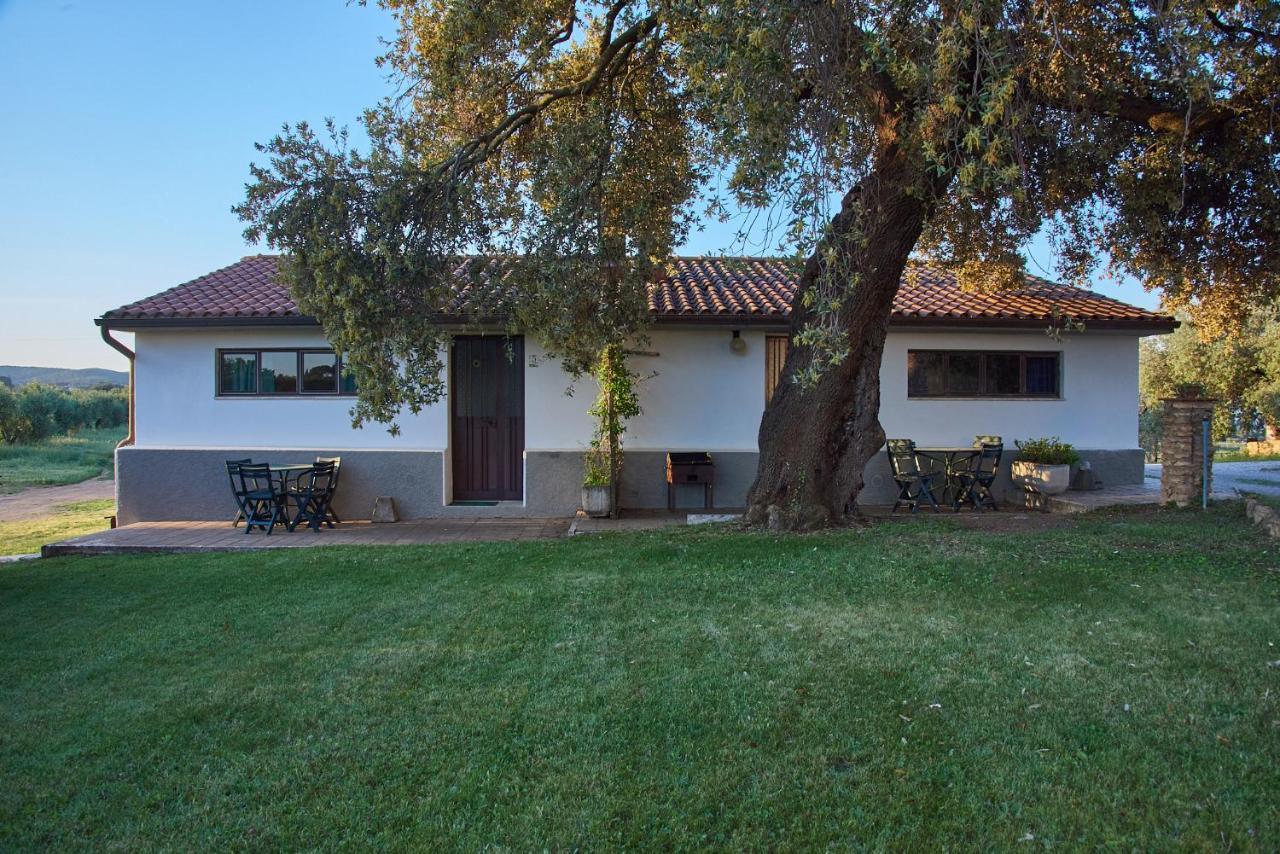 Agriturismo Tesorino Маса Маритима Екстериор снимка