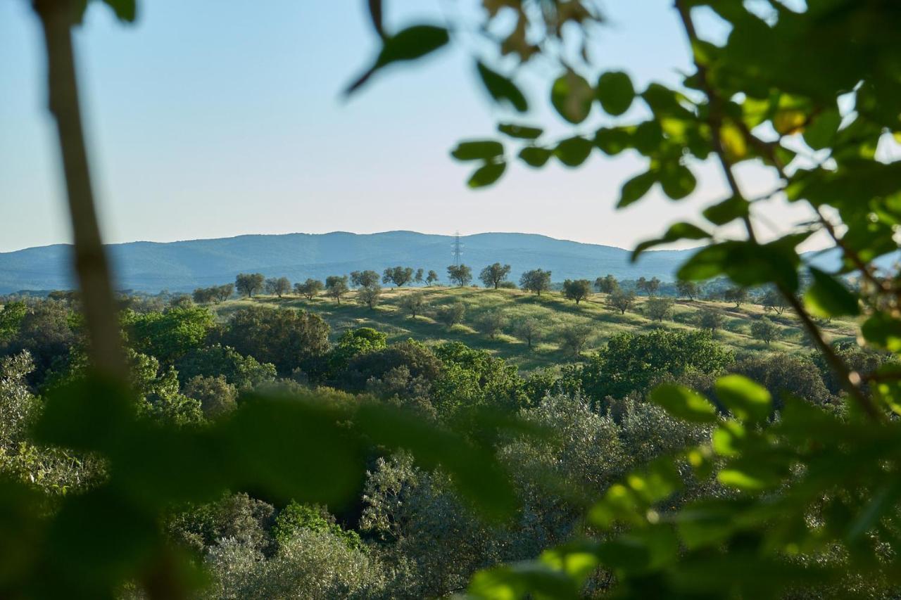 Agriturismo Tesorino Маса Маритима Екстериор снимка